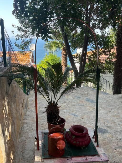 Bueyuekada Al Koesk Apartment Adalar Luaran gambar